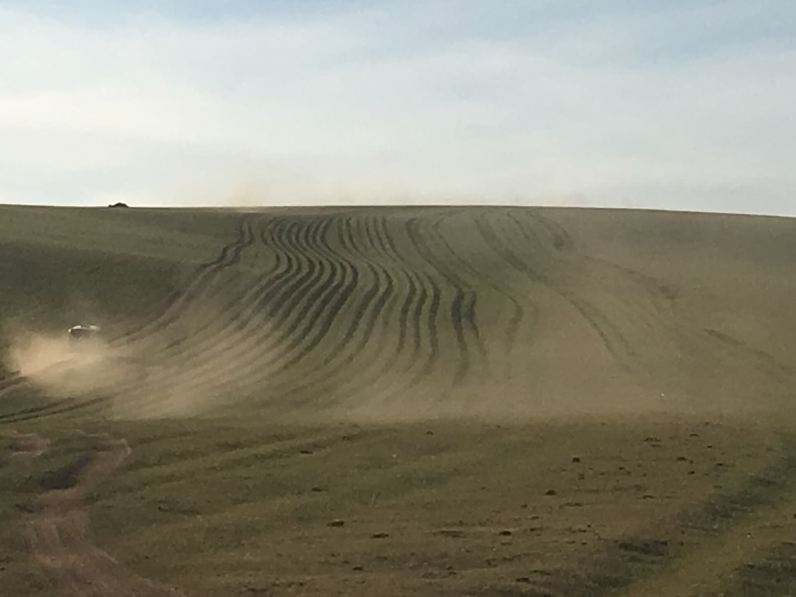 Braided informal vehicle tracks across grassland in Bulgan province, Mongolia